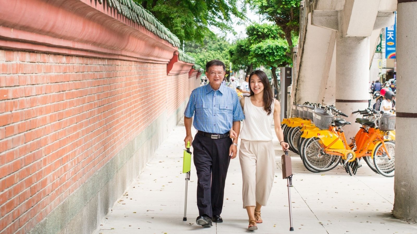 ไม้เท้าคนแก่, ไม้เท้าพกพา, ไม้เท้าเก้าอี้, ไม้เท้าพับได้, ไม้เท้าเก้าอี้พับได้